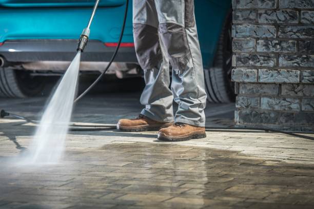 Best Warehouse Cleaning  in Adelino, NM